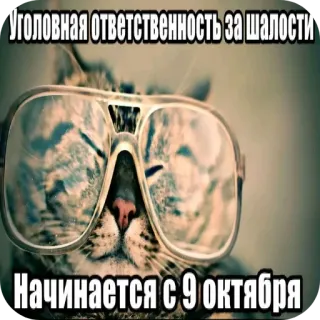 😎 Уголовная ответственность за шалости начинается с 9 октября telegram sticker