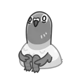 😨 นก, นกพิราบ, น่ารัก, สัตว์ telegram sticker