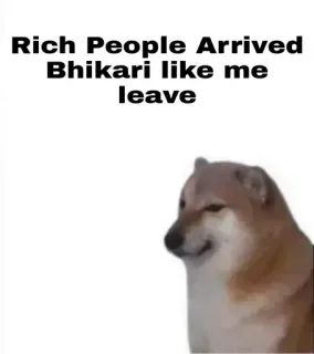 😐 Cheems Doge meme Rich People Arrived Bhikari like me leave cheems, doge, meme, rich, poor, funny, reaction telegram sticker