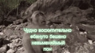 🐵 Чудно восхитительно ебануто бешено невменяемый пон Affe, Menschenaffe, Wald, Natur, Russisch, Text telegram sticker