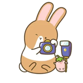 📸 rabbit, camera, photography, animal, cute, cartoon telegram sticker