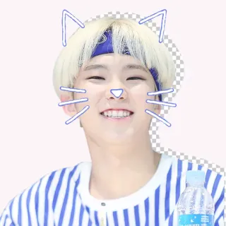 😆 cat filter, selfie, portrait, person, cute telegram sticker