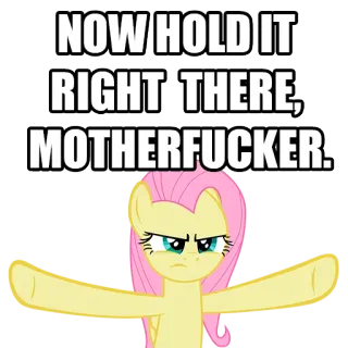 😡 Fluttershy My Little Pony NOW HOLD IT RIGHT THERE, MOTHERFUCKER. fluttershy, mlp, ofensivo, texto, insulto, pony telegram sticker