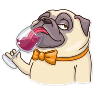 🍷 cachorro, pug, vinho, álcool, desenho animado, animal, gravata borboleta, engraçado telegram sticker