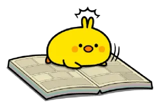 😶 poulet, oiseau, mignon, lecture, livre, jaune, dessin animé whatsapp sticker