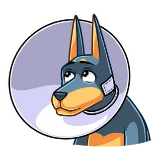 🤕 собака, животное, питомец, стикер, грустный, доберман, раненый whatsapp sticker