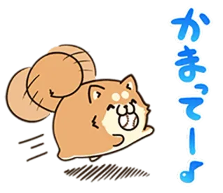 🐶 かまってーよ Shiba Inu, Hund, süß, Cartoon, Animation, japanisch telegram sticker