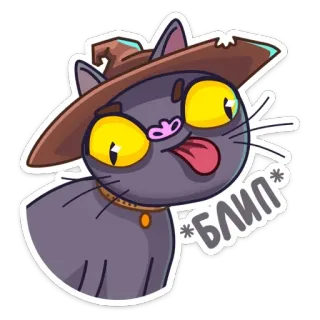 🤪 *БЛИП* gato, mago, adesivo, engraçado, animal, desenho animado, bruxa, fofo whatsapp sticker