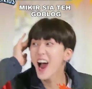 💰 MIKIR SIA TEH GOBLOG whatsapp sticker