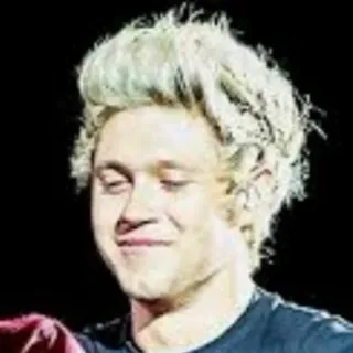 🍕 Niall Horan певец, One Direction, Найл Хоран, портрет, знаменитость telegram sticker