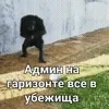 😳