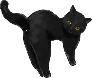 😐 cat, black cat, animal, cute, pet telegram sticker