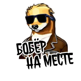 🏍 БОБЕР НА МЕСТЕ beaver, sunglasses, animal, russian, cartoon telegram sticker