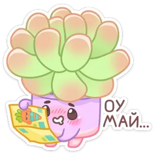 🤤 ОУ
МАЙ... суккулент, растение, милый, каваий, румяна, морковь whatsapp sticker