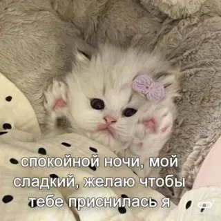 🍭 спокойной ночи, мой сладкий, желаю чтобы тебе приснилась я telegram sticker