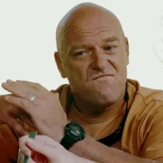 🌓 Hank Schrader Breaking Bad breaking bad, hank schrader, dean norris, television, tv show telegram sticker
