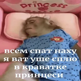 🐵 всем спать наху
я ват уше сплю
в краватке принцеси animal, mono, durmiendo, cama, lindo, gracioso, princesa whatsapp sticker
