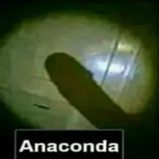 🐍 Anaconda serpent, reptile, animal, faune, amazonie whatsapp sticker