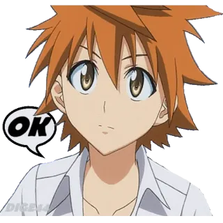 🆗 OK anime, character, ok, orange hair telegram sticker