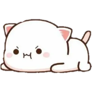 🤨 แมว, น่ารัก, โกรธ, การ์ตูน, ลูกแมว telegram sticker