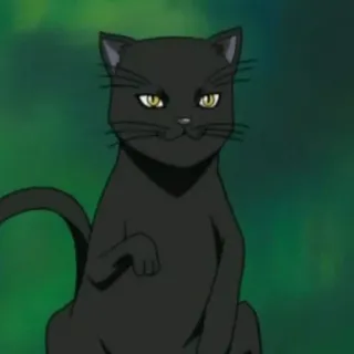 🍁 gatto, gatto nero, animale, animale domestico telegram sticker