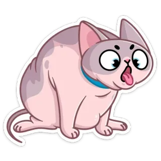 😝 gatto, sphynx, adesivo, animale telegram sticker