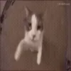 🤩