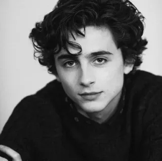 🦇 Timothée Chalamet actor, famoso, retrato, hombre, blanco y negro telegram sticker