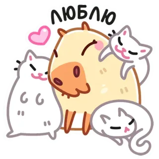 ❤️ ЛЮБЛЮ капибара, кошки, милые, любовь, животные, наклейка, мультфильм telegram sticker