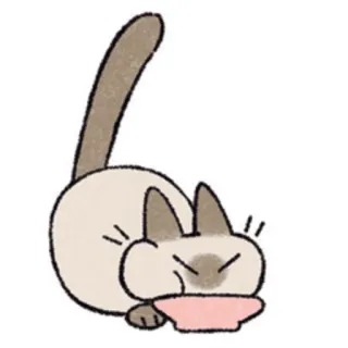🤤 cat, animal, pet, food, bowl, siamese, cute, domestic telegram sticker