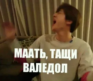 🌟 МААТЬ, ТАЩИ ВАЛЕДОЛ russian, swear word, exclamation, funny, meme, mother, valedol telegram sticker