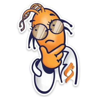 🤔 นักวิทยาศาสตร์, การ์ตูน, คิด, กุ้ง, งานวิจัย, ชีววิทยา, เสื้อกาวน์ telegram sticker