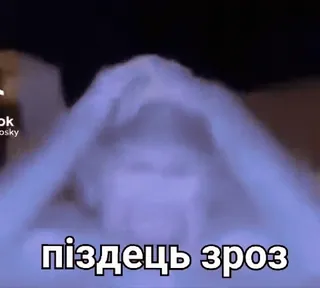 😭 піздець зрозуміло telegram sticker