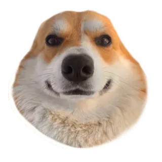Маффин корги whatsapp stickers