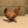 🐓