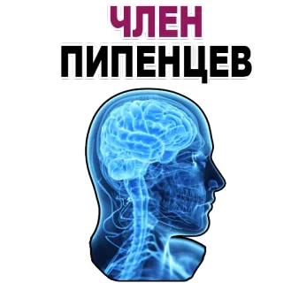 😍 Член пипенцев brain, head, offensive, russian telegram sticker