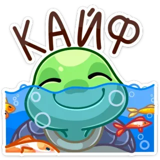 ☺️ КАЙФ turtle, fish, water, bubbles, happy, relaxation whatsapp sticker