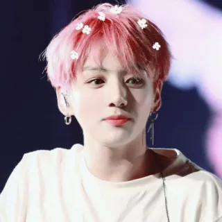 🌺 Jungkook Jungkook, BTS, K-Pop, Pop Coreano, cabelo rosa, Ídolo, Cantor telegram sticker