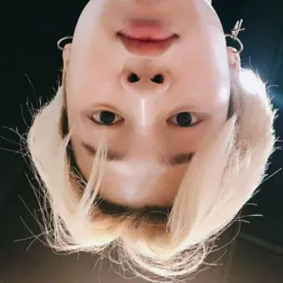 🍼 persona, selfie, al revés, pelo rubio, cara whatsapp sticker