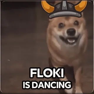 🕺 Floki FLOKI IS DANCING 개, 바이킹, 밈, 춤, 웃긴, 플로키 telegram sticker