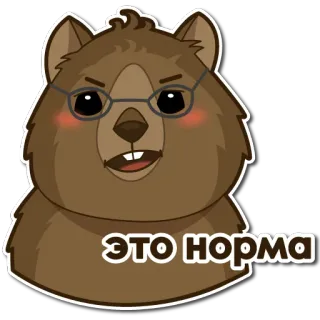 Квокка telegram stickers