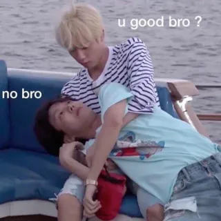 ☠️ u good bro ?
no bro Meme, Freundschaft, Frage, Sorge telegram sticker
