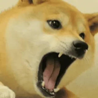🤬 dog, shiba inu, meme, animal, angry, pet telegram sticker