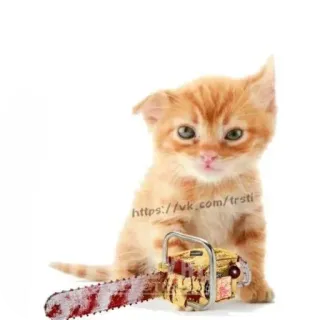 😍 https://vk.com/trsti telegram sticker