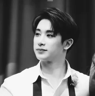 🌑 Wonho 韩流, 歌手, 音乐, 艺术家, 名人, 肖像 telegram sticker