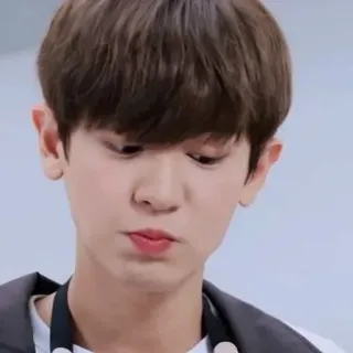🐻 K-pop, Chanteur, Portrait, Asiatique, Adolescent, Personne telegram sticker