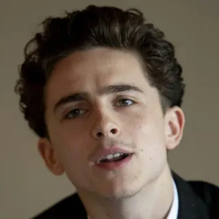 🤨 Timothée Chalamet ator, celebridade, retrato, homem telegram sticker