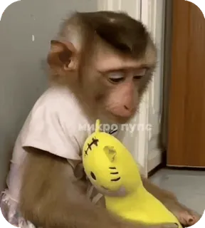 🪸 микро пульс monyet, binatang, imut, mainan, sedih telegram sticker