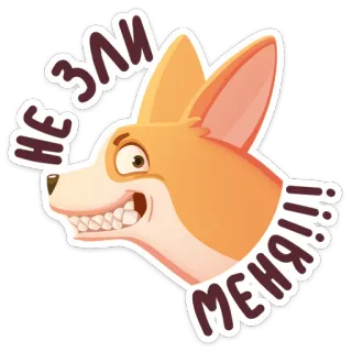 😡 НЕ ЗЛИ МЕНЯ!!! zangado, corgi, cachorro, desenho animado, texto, russo whatsapp sticker