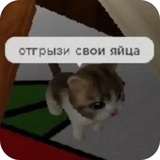 🐱 отгрызи свои яйца chat, russe, offensant, autocollant telegram sticker